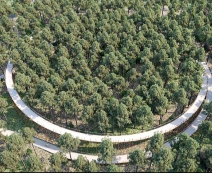 Villa 2Be Balen Dış mekan fotoğraf
